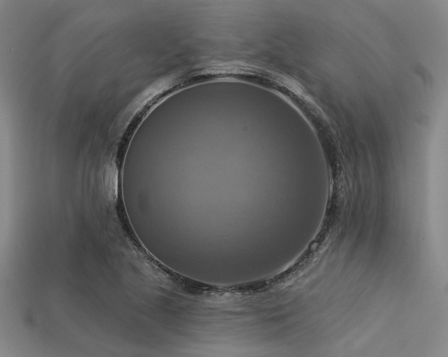 X0000113341221200909151124