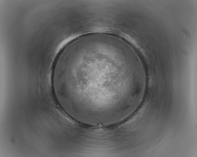 X0000113341222200909151124