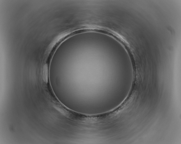 X0000113341223200909151124