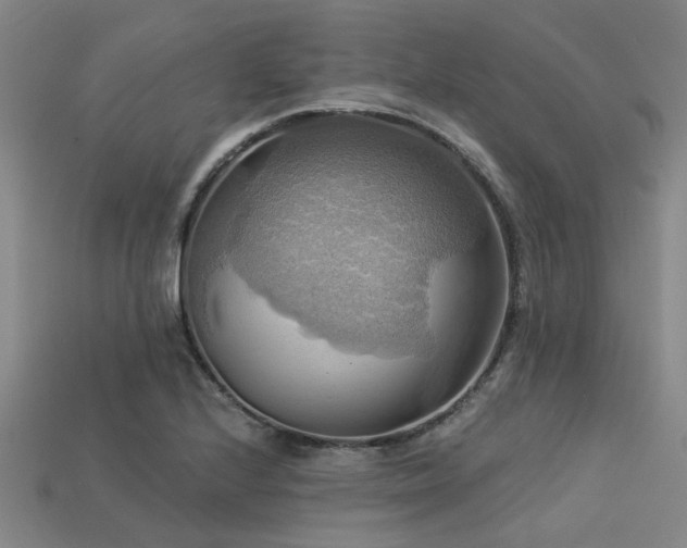 X0000113341224200909151124