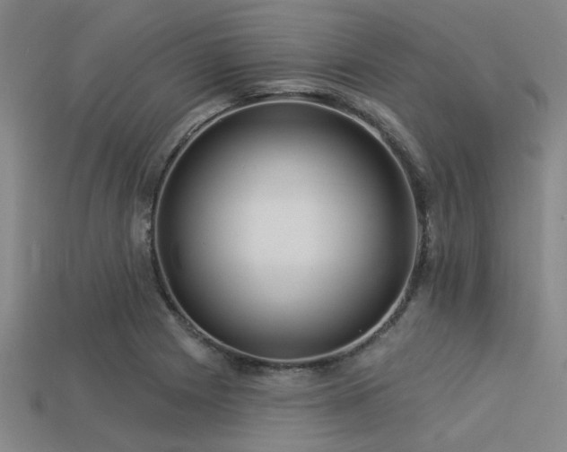 X0000113341225200909151124