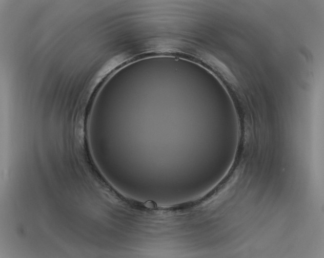 X0000113341226200909151124