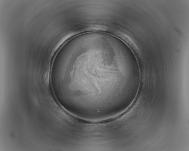 X0000113341228200909151124