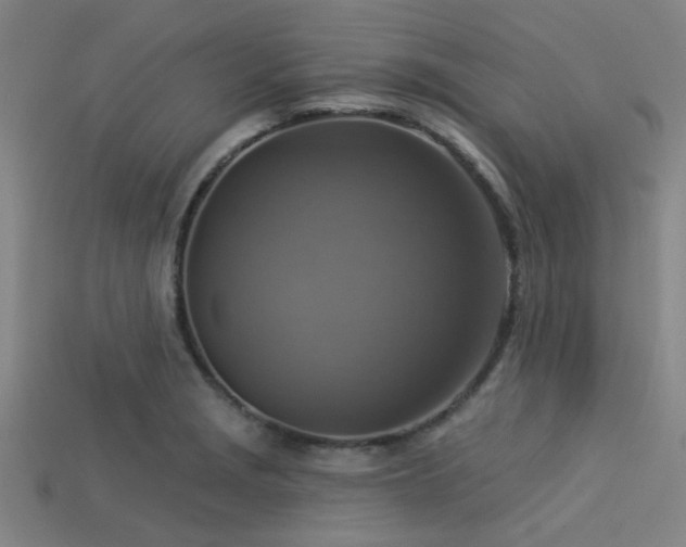 X0000113341229200909151124