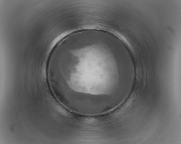 X0000113341230200909151124