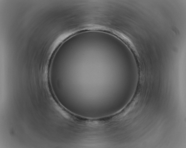 X0000113341231200909151124