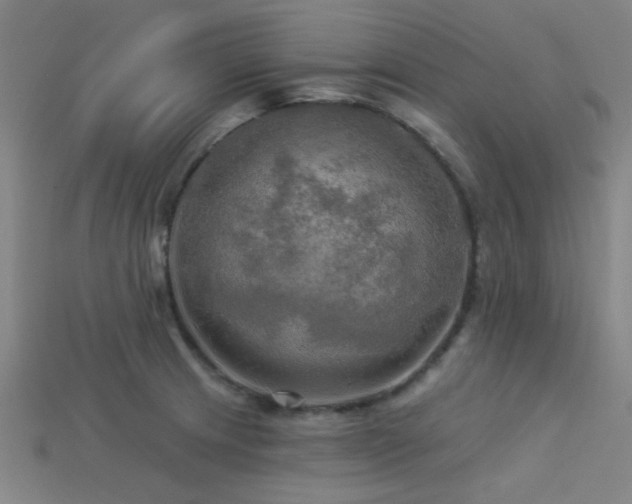 X0000113341233200909151124