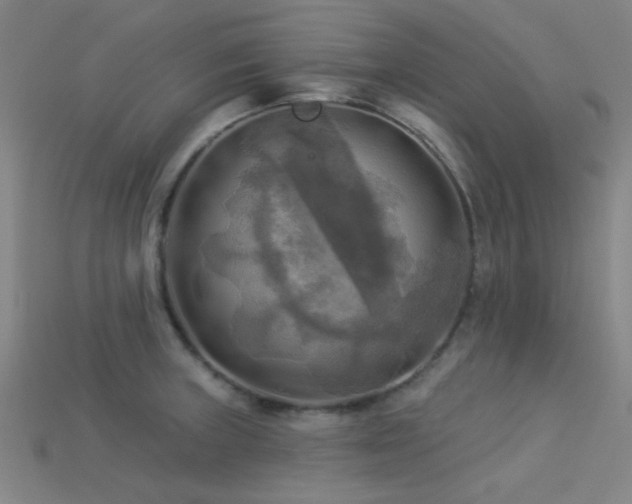 X0000113341235200909151124