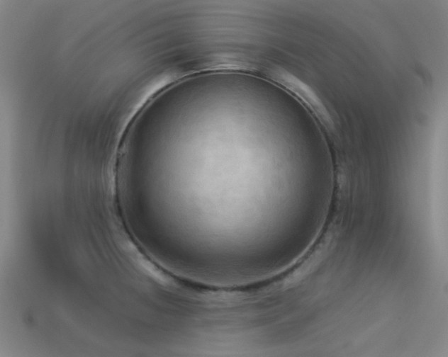 X0000113341236200909151124