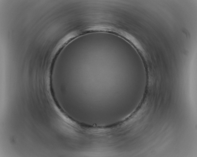 X0000113341237200909151124