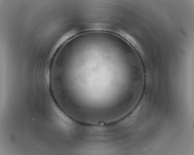 X0000113341238200909151124