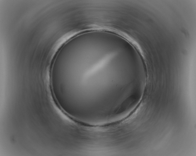 X0000113341239200909151124