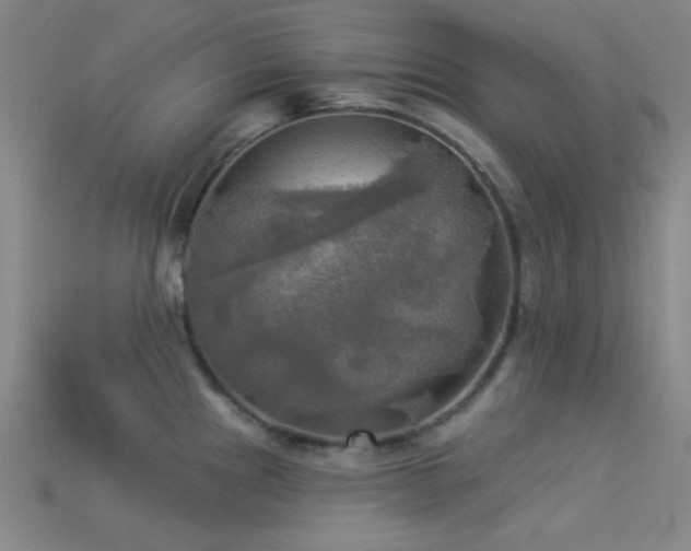 X0000113341241200909151125
