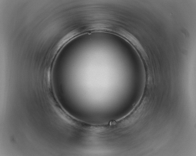 X0000113341242200909151125