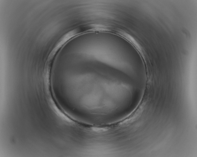 X0000113341243200909151125
