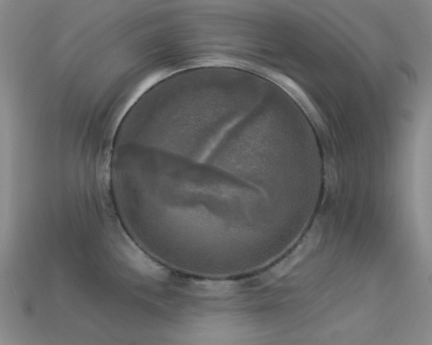 X0000113341244200909151125