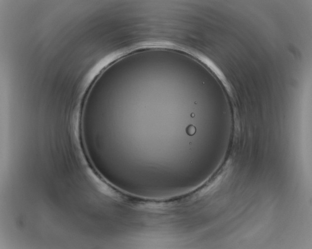 X0000113341245200909151125