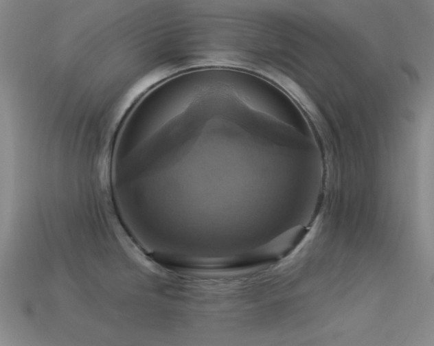 X0000113341246200909151125