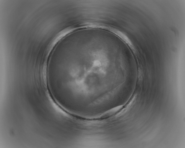 X0000113341247200909151125