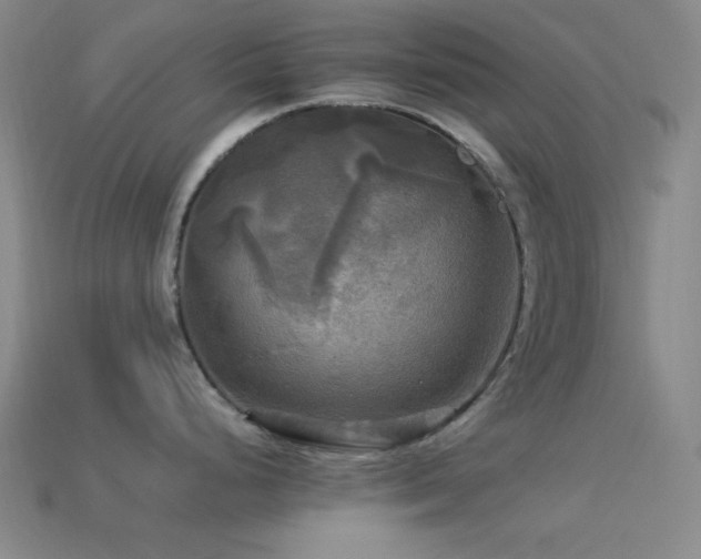 X0000113341248200909151125