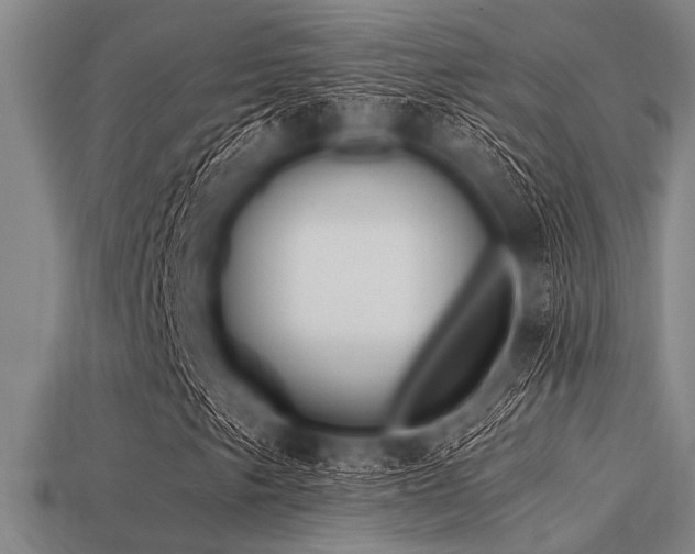 X0000113341249200909151124