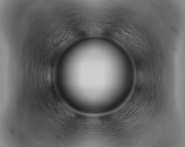 X0000113341250200909151124