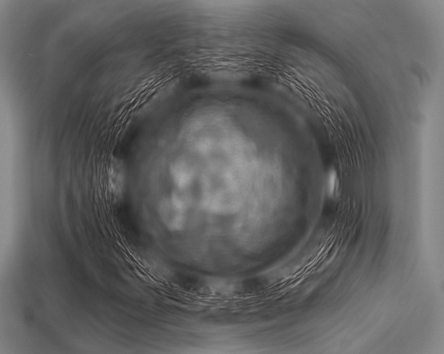X0000113341251200909151124