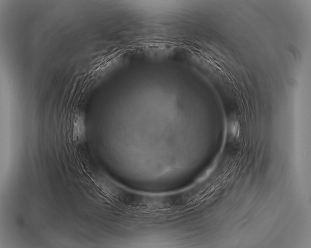 X0000113341252200909151124