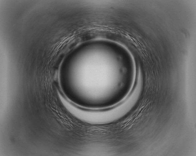 X0000113341253200909151124