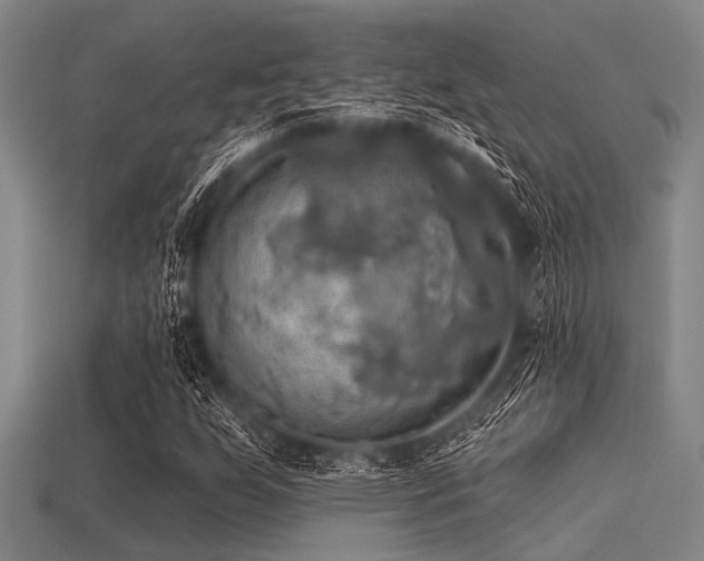 X0000113341255200909151124