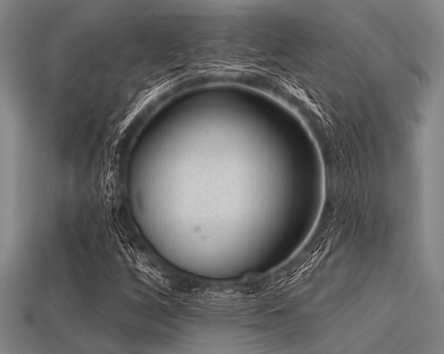 X0000113341256200909151124