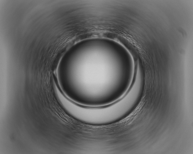 X0000113341257200909151124