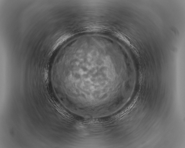 X0000113341259200909151124