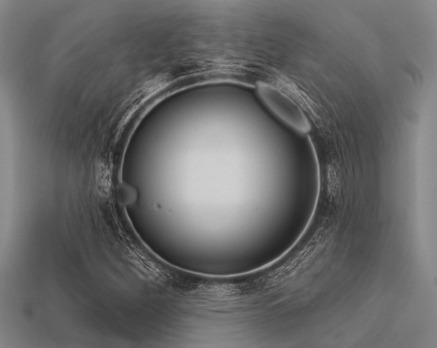 X0000113341260200909151124