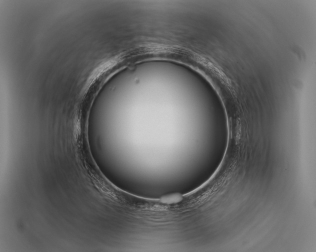 X0000113341261200909151124