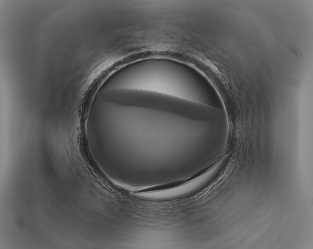 X0000113341263200909151124