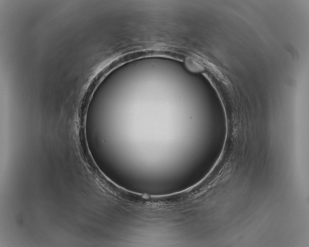 X0000113341264200909151124