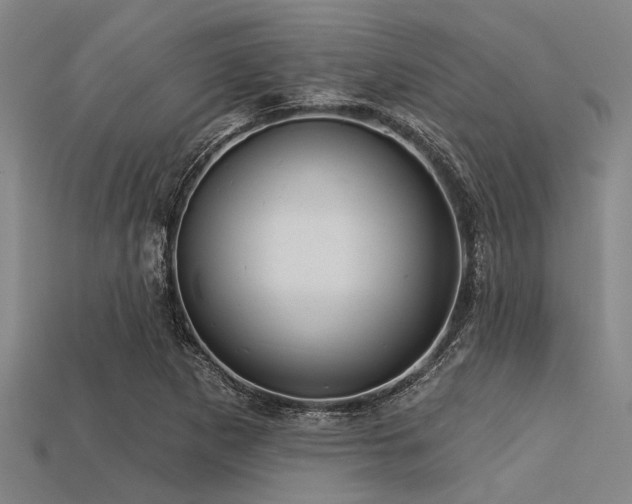 X0000113341265200909151124