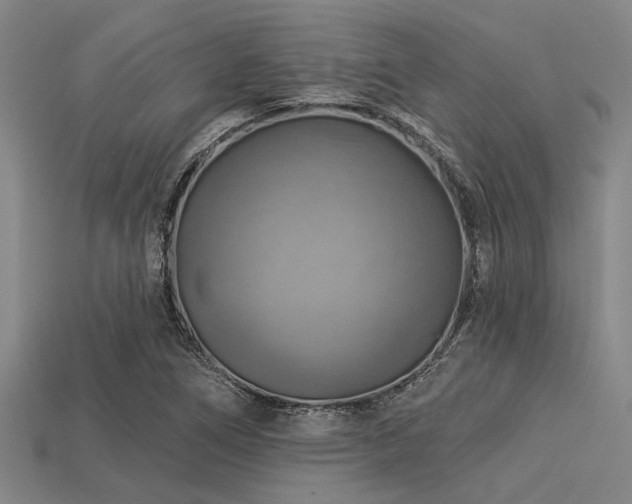X0000113341266200909151124