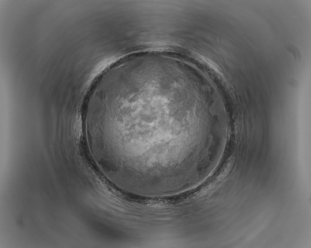 X0000113341267200909151124