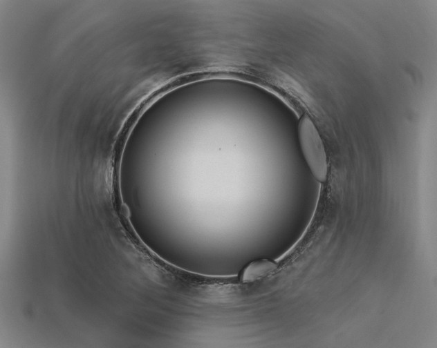 X0000113341268200909151124