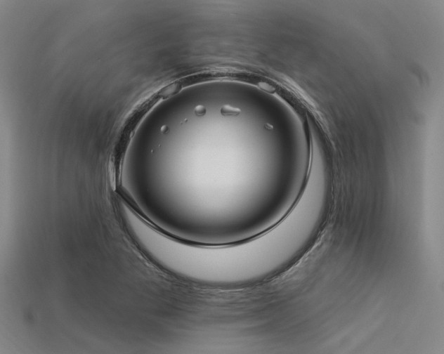 X0000113341269200909151124