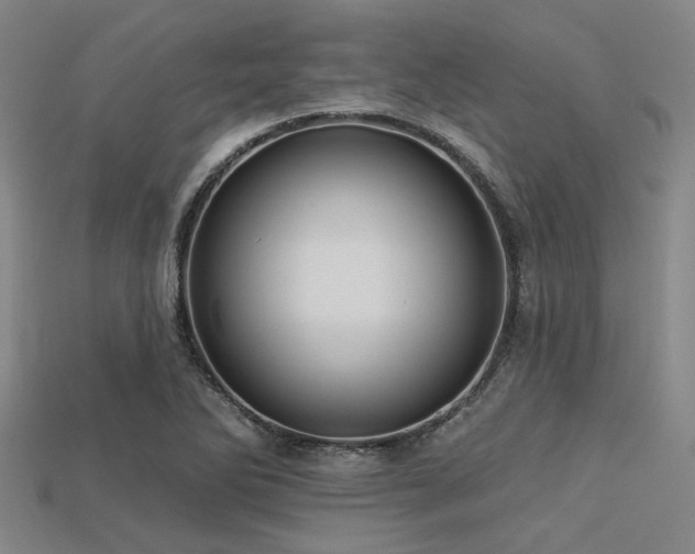 X0000113341270200909151124