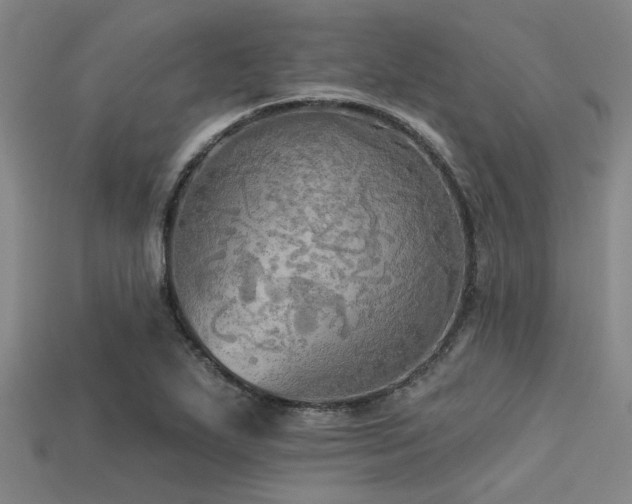 X0000113341271200909151124