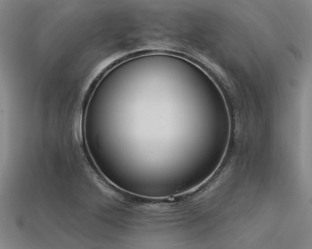 X0000113341272200909151124