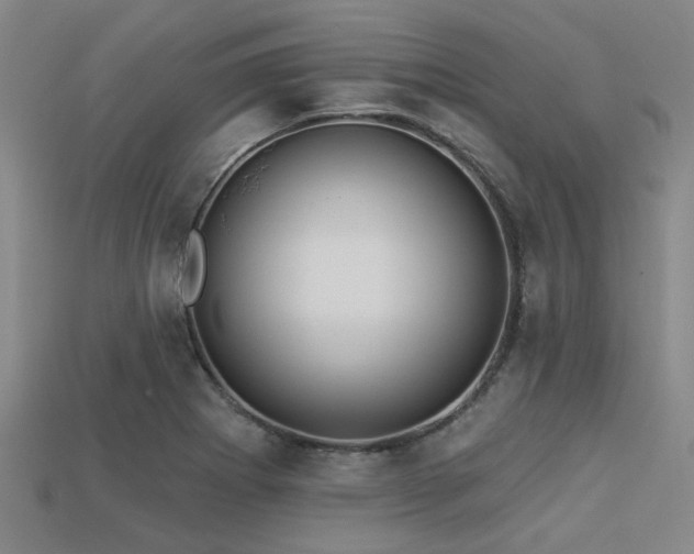 X0000113341273200909151124