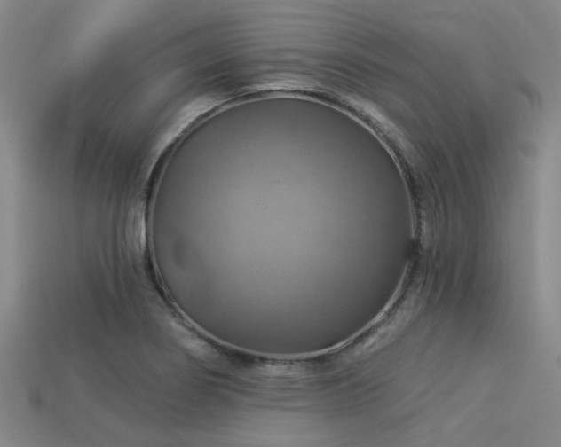 X0000113341274200909151124