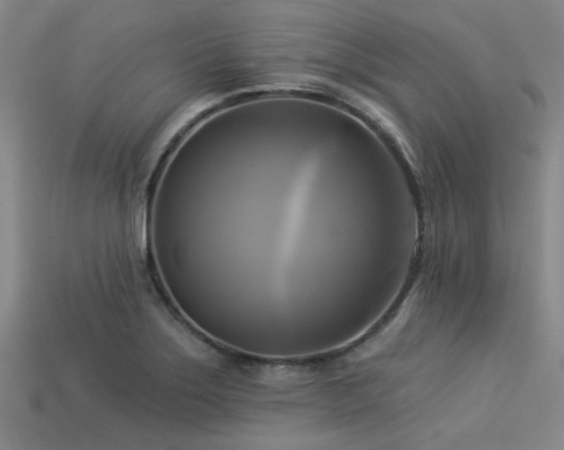 X0000113341275200909151124