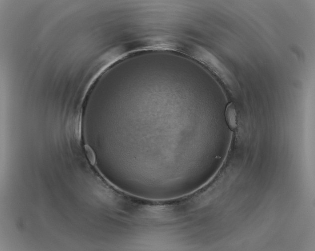 X0000113341276200909151124