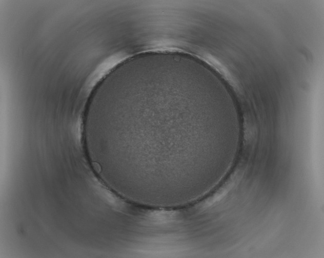 X0000113341277200909151124